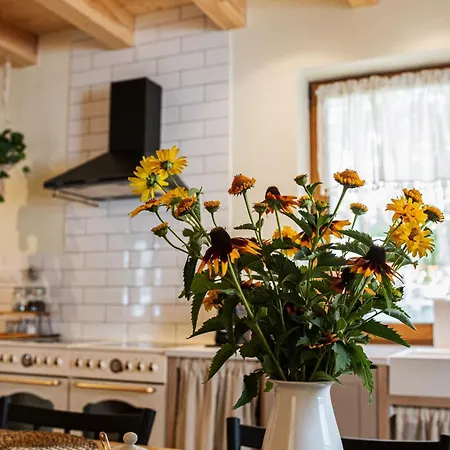 Caloroczny W Sosnowym Lesie *