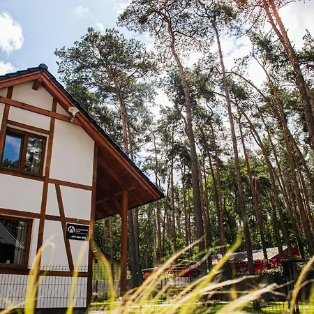 Caloroczny W Sosnowym Lesie