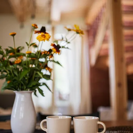 Caloroczny W Sosnowym Lesie *