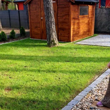 Caloroczny W Sosnowym Lesie * Milicz