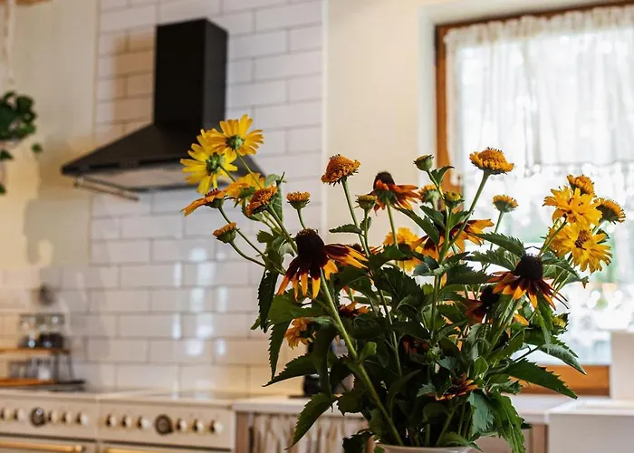 Caloroczny W Sosnowym Lesie *