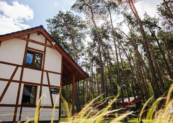 Caloroczny W Sosnowym Lesie