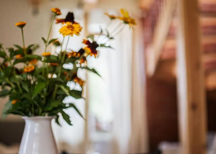 Caloroczny W Sosnowym Lesie *