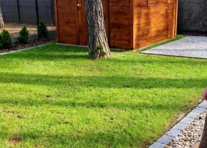 Caloroczny W Sosnowym Lesie * Milicz